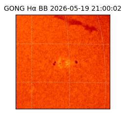 gong - 2026-05-19T21:00:02