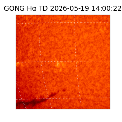 gong - 2026-05-19T14:00:22