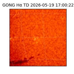 gong - 2026-05-19T17:00:22