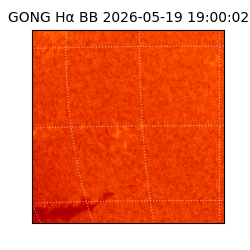 gong - 2026-05-19T19:00:02