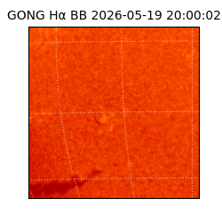 gong - 2026-05-19T20:00:02