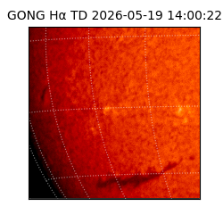 gong - 2026-05-19T14:00:22