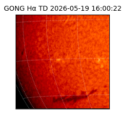 gong - 2026-05-19T16:00:22