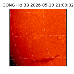 gong - 2026-05-19T21:00:02