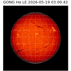 gong - 2026-05-19T03:00:42