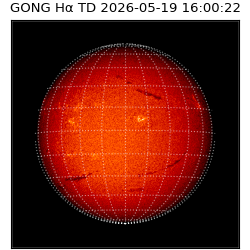 gong - 2026-05-19T16:00:22