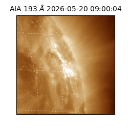 saia - 2026-05-20T09:00:04.842000