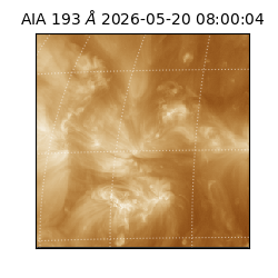 saia - 2026-05-20T08:00:04.842000