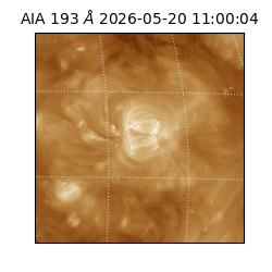 saia - 2026-05-20T11:00:04.842000
