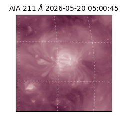 saia - 2026-05-20T05:00:45.623000