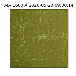 saia - 2026-05-20T09:00:14.122000