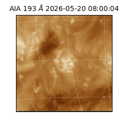 saia - 2026-05-20T08:00:04.842000