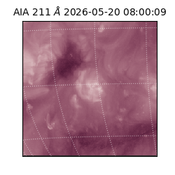 saia - 2026-05-20T08:00:09.630000