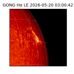 gong - 2026-05-20T03:00:42