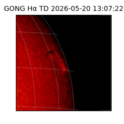 gong - 2026-05-20T13:07:22