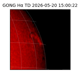 gong - 2026-05-20T15:00:22