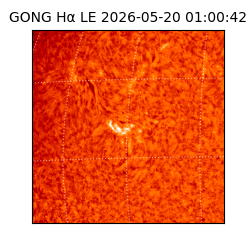 gong - 2026-05-20T01:00:42