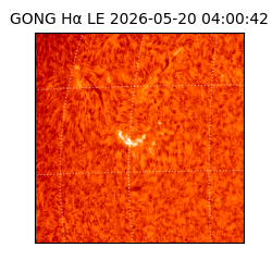 gong - 2026-05-20T04:00:42