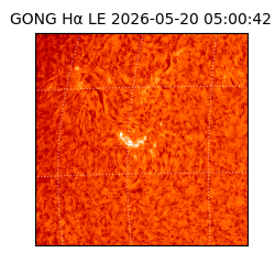 gong - 2026-05-20T05:00:42