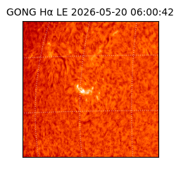 gong - 2026-05-20T06:00:42