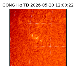 gong - 2026-05-20T12:00:22