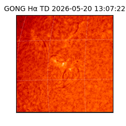 gong - 2026-05-20T13:07:22