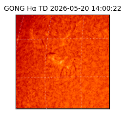 gong - 2026-05-20T14:00:22