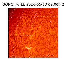 gong - 2026-05-20T02:00:42