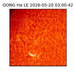 gong - 2026-05-20T03:00:42