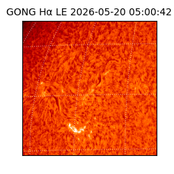 gong - 2026-05-20T05:00:42