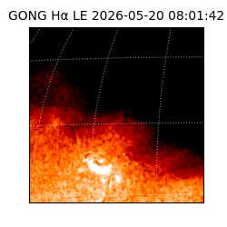 gong - 2026-05-20T08:01:42