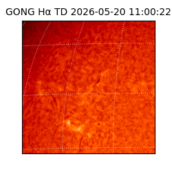 gong - 2026-05-20T11:00:22