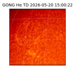 gong - 2026-05-20T15:00:22