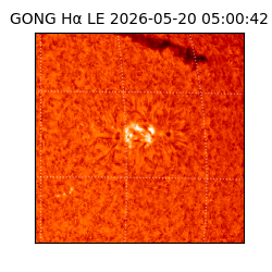 gong - 2026-05-20T05:00:42