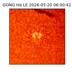 gong - 2026-05-20T06:00:42