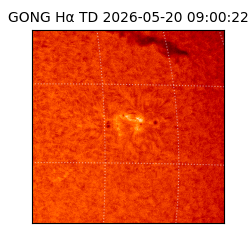 gong - 2026-05-20T09:00:22