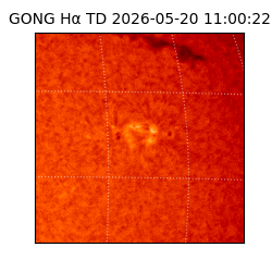gong - 2026-05-20T11:00:22