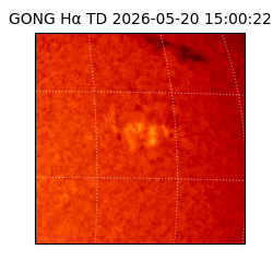 gong - 2026-05-20T15:00:22