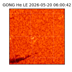 gong - 2026-05-20T06:00:42