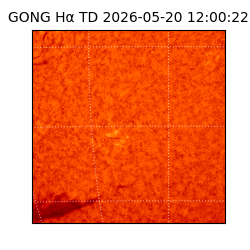 gong - 2026-05-20T12:00:22