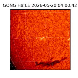 gong - 2026-05-20T04:00:42