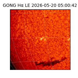 gong - 2026-05-20T05:00:42