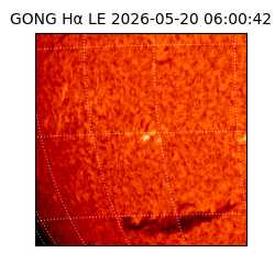 gong - 2026-05-20T06:00:42