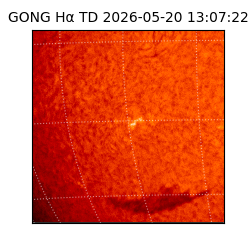 gong - 2026-05-20T13:07:22