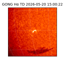 gong - 2026-05-20T15:00:22