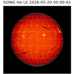 gong - 2026-05-20T00:00:42
