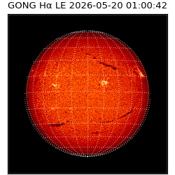 gong - 2026-05-20T01:00:42