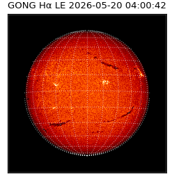 gong - 2026-05-20T04:00:42