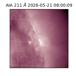 saia - 2026-05-21T08:00:09.622000