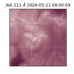 saia - 2026-05-21T08:00:09.622000